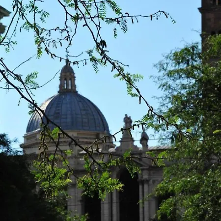 Affittacamere White Vatican Roma